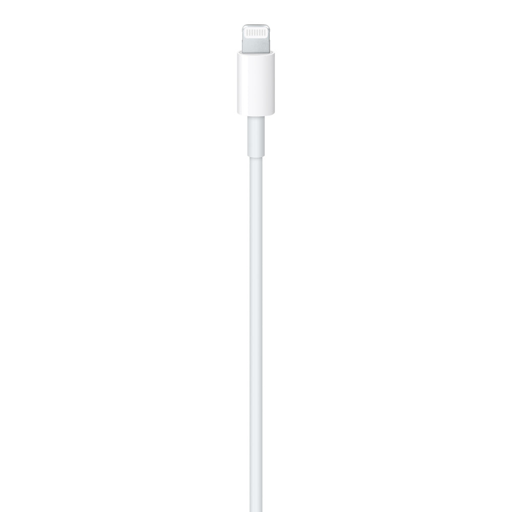 Apple Cavo da USB‑C a Lightning (1 m)